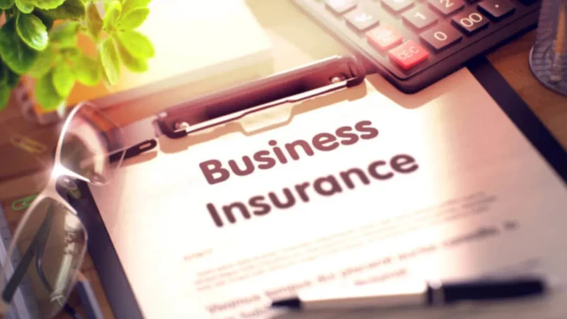 What are the features of Business Insurance?