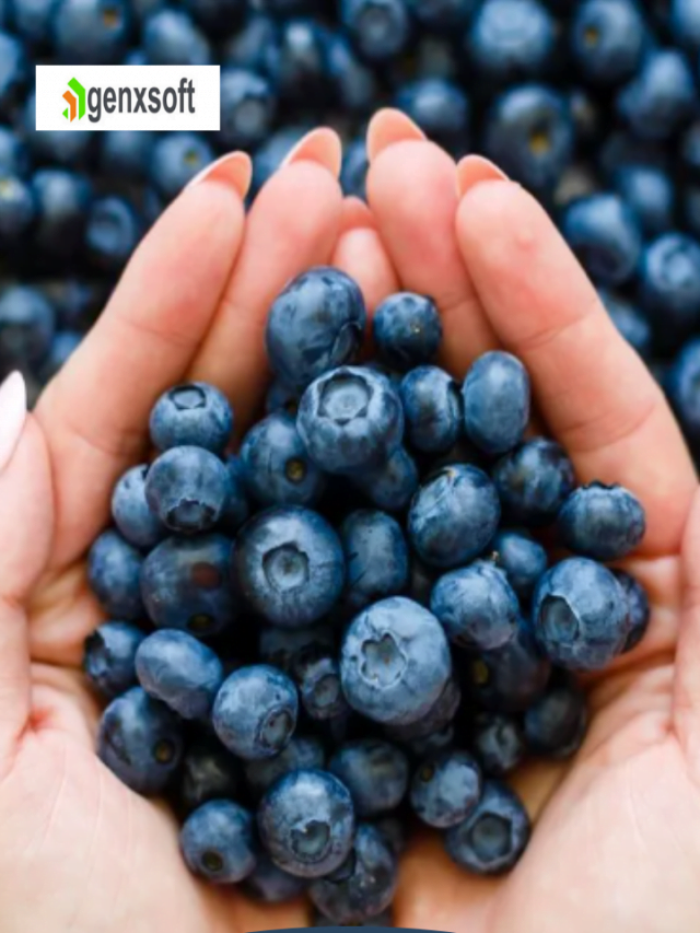 Benefits Of Eating Blueberry: क्या आप जानते हैं ब्लूबेरी के ये अद्भुत फायदे !