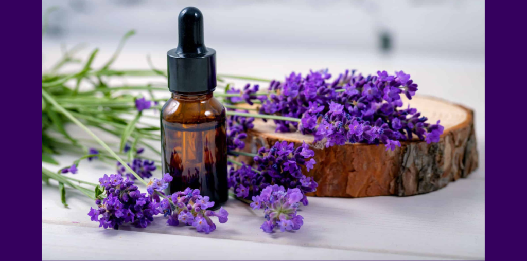 Lavender Oil Benefits