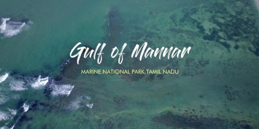 Gulf of Mannar