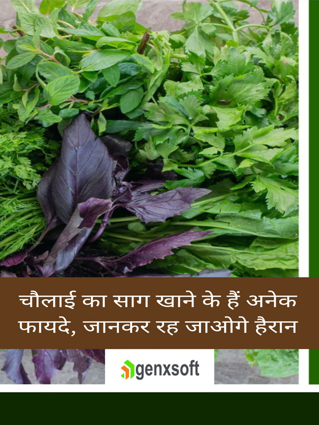 Chaulai Benefits : चौलाई का साग खाने के हैं अनेक फायदे, जानकर रह जाओगे हैरान