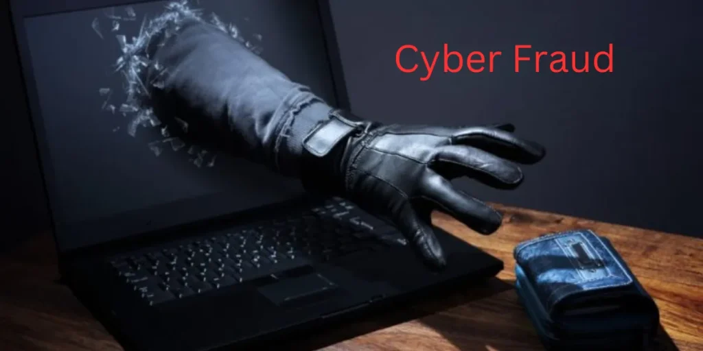 Cyber Fraud