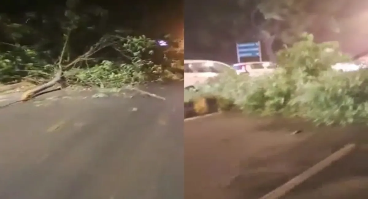 Delhi Storm Toll: Two Dead, Six Injured As Trees Uproot, Buildings Damaged