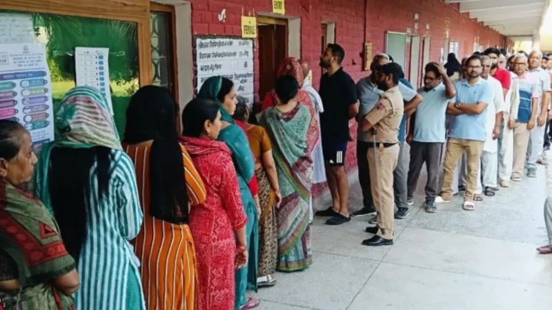 Haryana Assembly Elections: 61% Voter Turnout Report