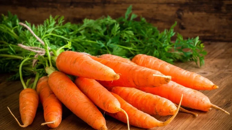 Carrot Benefits in Winter