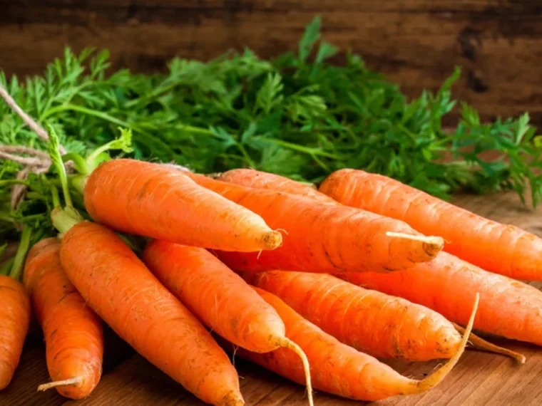 Carrot Benefits in Winter