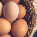 Carrot Benefits in Winter: Boost Immunity, Skin Glow & Overall Health