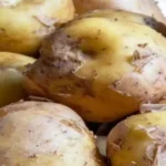 Crispy Murukku Recipe: A Traditional South Indian Snack You’ll Love