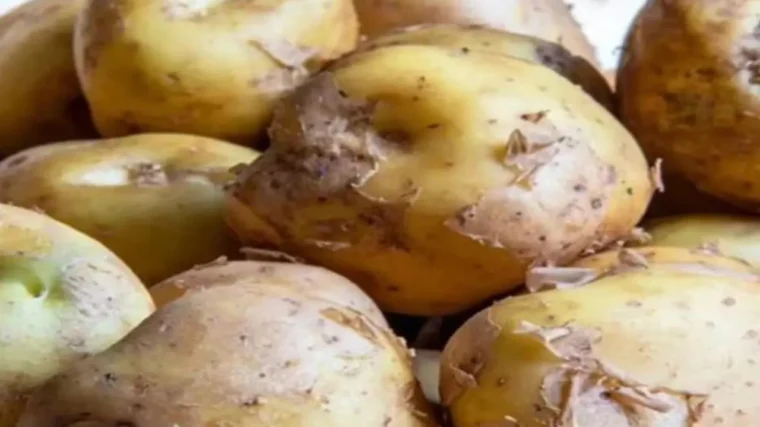 Expensive Potato in the World