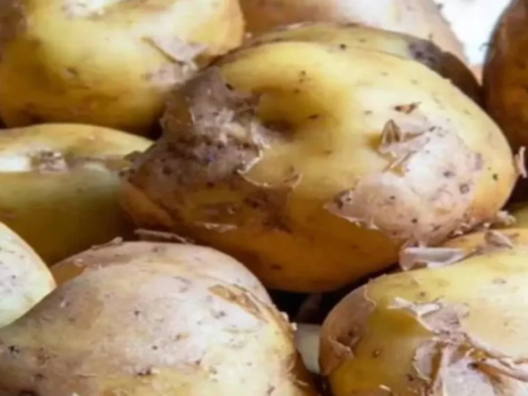 Expensive Potato in the World