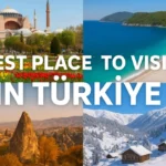 Most Expensive Potato in the World: All You Need to Know